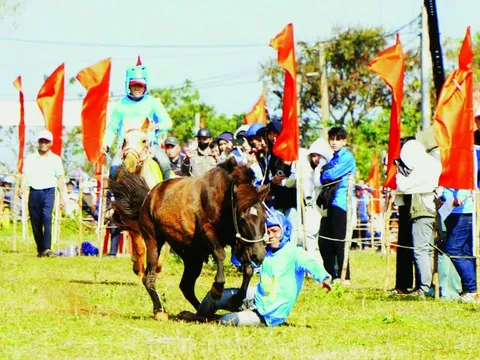 Cười ngất Với hội đua ngựa thồ