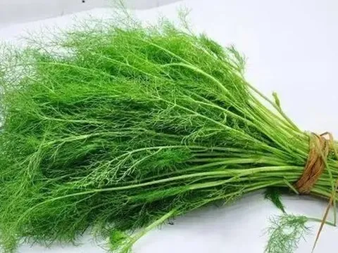 Rau thì là có gây suy thận? Các bác sĩ cảnh báo: Để tránh tổn thương thận, hãy ăn ít 3 loại rau này