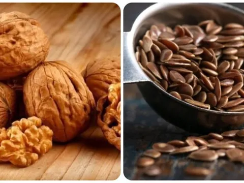 5 loại hạt giàu Omega-3 không kém cá, tốt cho tim mạch và não bộ 0