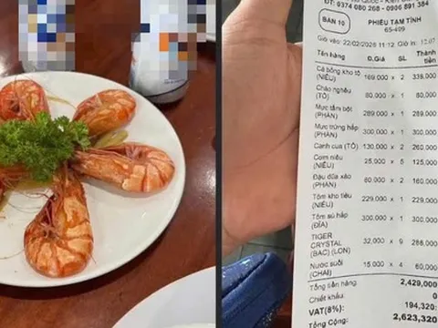 Mạng xã hội tranh luận về dĩa tôm 300.000 đồng ở Phú Quốc dịp Tết