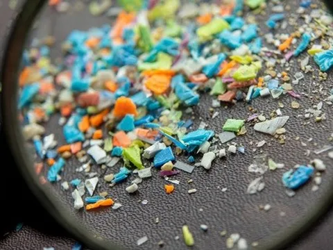 Vi nhựa xuất hiện trong một loạt khối u ung thư