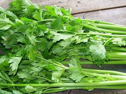 5 loại rau mà tế bào ung thư sợ nhất, nhất là ung thư phổi, ung thư vú và ung thư đại trực tràng