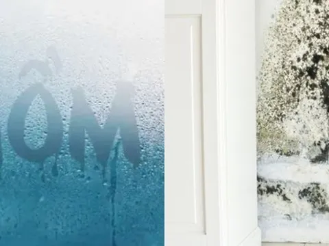 Kinh hoàng: Nấm mốc âm thầm "làm ổ" trong 7 thứ quen thuộc, mùa nồm đến là sinh sôi như vũ bão
