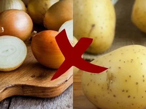 Vì sao hành tây không thể chung chỗ với khoai tây: Sống 30 năm cuộc đời tôi mới biết đáp án