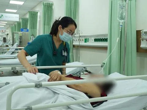 11 người nghi ngộ độc sau khi ăn bánh mì heo quay: Sở Y tế TP.HCM vào cuộc 0