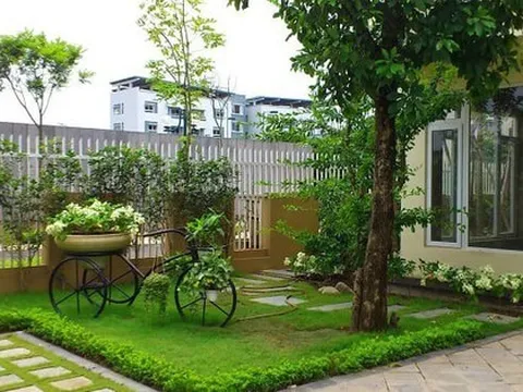 5 loại cây đừng trồng trước cửa nhà