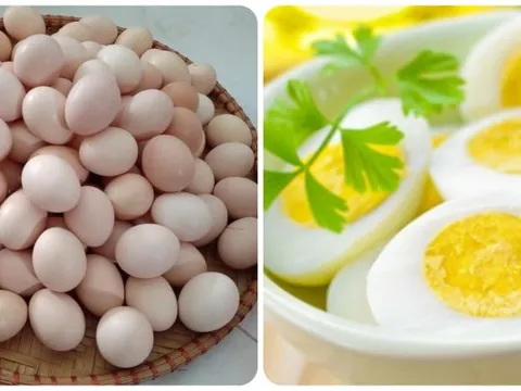 Số lượng trứng nên ăn mỗi tuần ở từng nhóm tuổi 1