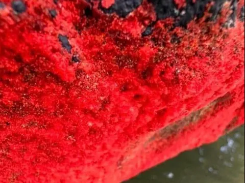 Cảnh tượng lạ trên một dòng sông ở Việt Nam: Tảng đá bỗng đỏ rực như "nở hoa", chính quyền nói gì?