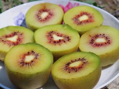 Loại quả được gọi là "trái cây ngủ", ăn một vài miếng mỗi ngày có thể giúp bạn ngủ ngon giấc đến tận sáng, chợ Việt bán rất nhiều