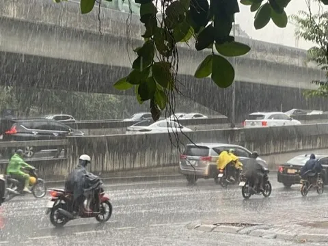 Tin gió mùa đông bắc mới nhất: Ngày mai, miền Bắc xuất hiện mưa rào