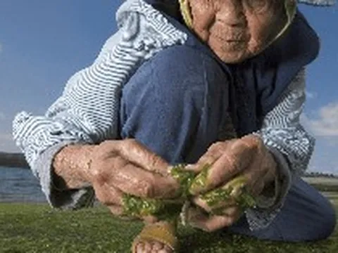 Bí quyết "bình dị đến không tưởng" của ngôi làng trường thọ: Không thể dục, ăn kiêng vẫn sống trăm tuổi