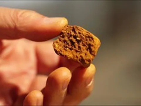 Thứ có trong nội tạng bò đắt hơn vàng: Dược liệu hiếm đắt đỏ bậc nhất thế giới, giá gần 7 tỷ đồng/kg