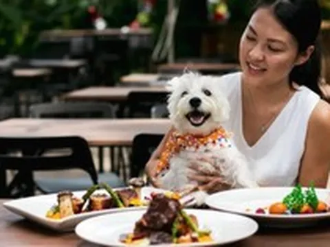 SỐC: Nhà hàng đập bỏ 600 bộ bát đĩa, đóng cửa khử trùng vì khách cho thú cưng lên bàn ăn