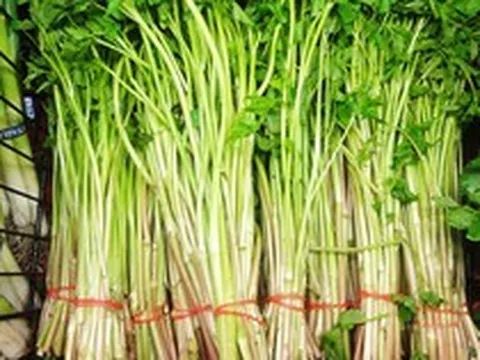 Cảnh báo: Một số thực phẩm hàng ngày tiềm ẩn ký sinh trùng, đừng ăn quá nhiều