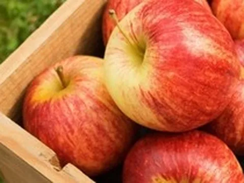 "Nuôi dạ dày chính là nuôi dưỡng sự sống": 5 loại thực phẩm "yêu thích" của niêm mạc dạ dày, nên ăn mỗi ngày, đừng tiếc!