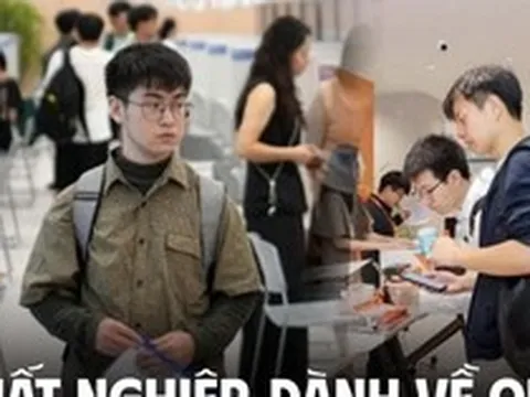 Gửi 100 CV chỉ để nhận ra “cơ hội không dành cho mình”: Ở lại thành phố nghĩa là tiếp tục tiêu tiền, đành về quê