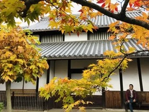 Bình yên Đông Kinh