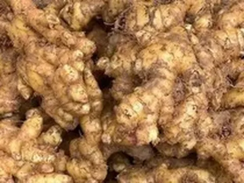 Tác dụng của gừng trong chăm sóc và nuôi dưỡng mái tóc