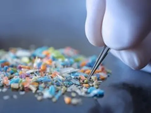 Món ăn quen thuộc này của người Việt có thể giúp “quét” vi nhựa khỏi cơ thể? Phát hiện mới từ giới khoa học gây chú ý