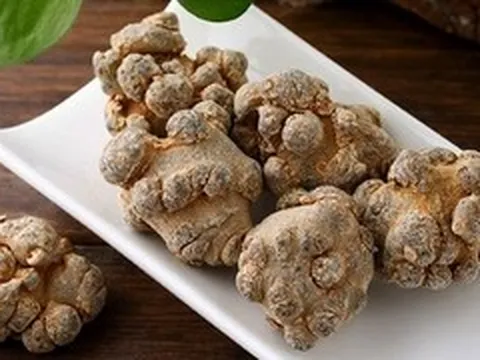 Cây tam thất có tác dụng gì?