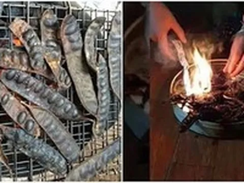 Việc đốt bồ kết có những lợi ích gì?