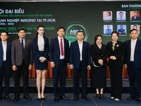 Hoa hậu sinh năm 1990 được bổ nhiệm làm Phó Chủ tịch CLB Doanh nghiệp Mekong