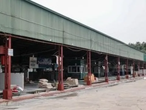 Cận cảnh lò mổ tuồn gần 300 tấn lợn bệnh vào trường học, chợ đầu mối ở Hà Nội