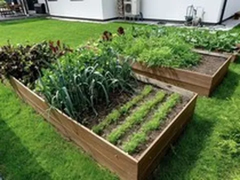 5 loại rau nên trồng trong tháng 4