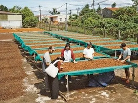 CÚ HÍCH NĂM DU LỊCH QUỐC GIA: Định hình bản sắc du lịch liên vùng