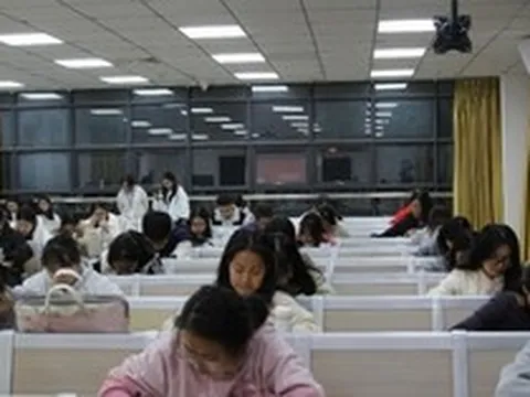 Lối thoát cho sinh viên ngành Ngôn ngữ: Mô hình "Ngoại ngữ + X" và 3 kỹ năng để không bị AI thay thế