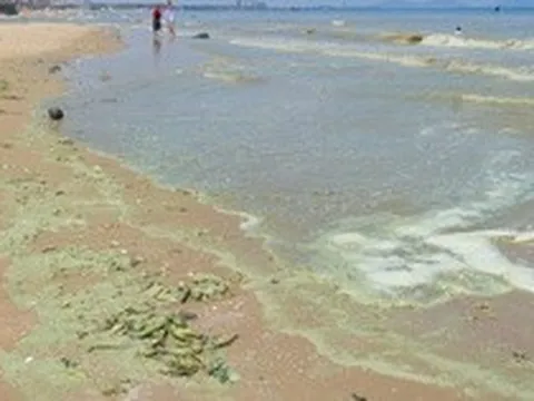 Hình ảnh biển Bãi Sau Vũng Tàu chuyển màu "xanh như matcha", du khách lo ngại