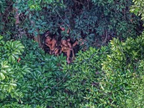 Bộ tộc biệt lập nhất ở Amazon khiến thế giới ngỡ ngàng với hình ảnh người trẻ dùng smartphone nhoay nhoáy