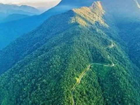Tạp chí quốc tế công bố "kho báu sống" ở dãy Trường Sơn: Chỉ Việt Nam có