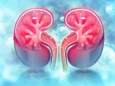 Muốn bảo vệ 2 quả thận, nhất định phải hạn chế 8 loại thực phẩm này