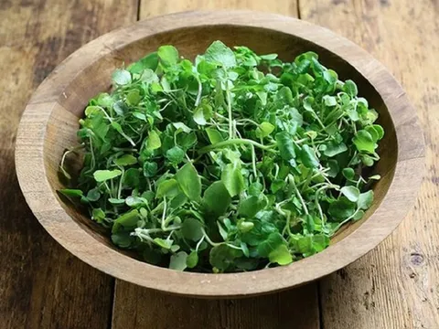 Loại rau nhiều người Việt "né" nhưng Mỹ ca ngợi thuộc top tốt "bậc nhất thế giới"