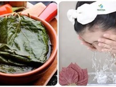 Rửa mặt bằng lá tía tô có tác dụng gì?