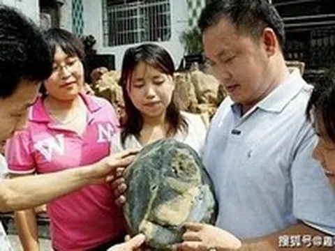 Nhặt viên đá có hoa văn lạ trên bãi biển, người đàn ông sững sờ khi chuyên gia định giá hơn 500 tỷ đồng