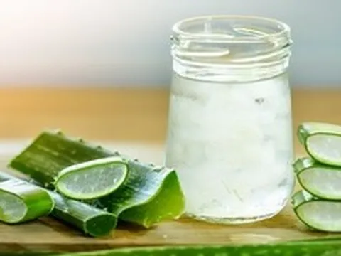 Uống nước cây lô hội có tác dụng gì?