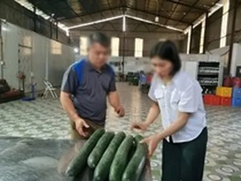 Tiết lộ khoản 'hoa hồng' cho hiệu trưởng để tuồn thịt lợn bệnh vào trường học