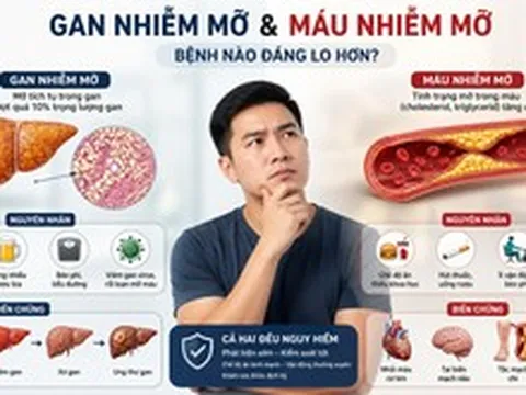 Gan nhiễm mỡ và máu nhiễm mỡ, bệnh nào đáng lo hơn?