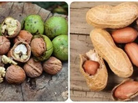 Những loại hạt hỗ trợ giảm huyết áp, tốt cho tim mạch