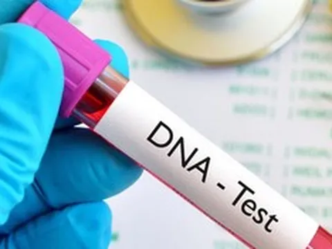 Cô gái lạ dắt đứa trẻ và giấy xét nghiệm ADN đến nhận cha khi chồng tôi vừa mất