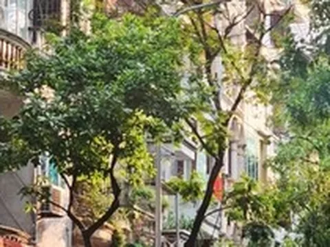 Tin vui cho thứ 2 mệt mỏi nhất: Chỉ cần vượt qua 117 ngày nữa thôi là có 5 ngày nghỉ liên tiếp!