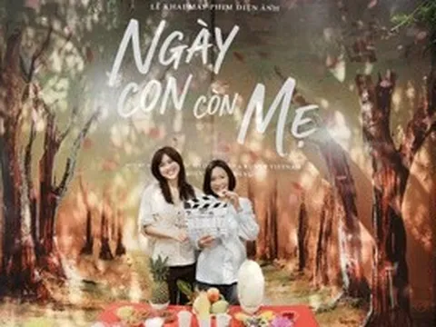 Hồng Đào từ "mẹ chồng" hụt đến "mẹ ruột" Phương Anh Đào