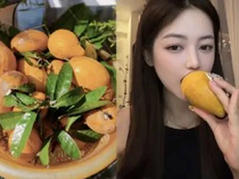 Quả trứng gà rụng đầy gốc ở Việt Nam, sang nước ngoài thành hàng hiếm, bán hơn 1 triệu đồng vẫn có người mua