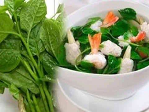 Mùa hè ra chợ cứ mua ngay 4 loại rau này vè nấu: Vừa giúp giải nhiệt, tăng miễn dịch, lại còn vô cùng kinh tế