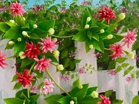 Người phụ nữ 'hô biến' đất sét nở hoa