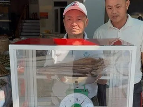 Sầm Sơn lắp cân đối chứng ở khu hải sản để chống "buôn gian bán lận"