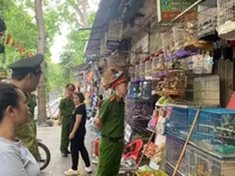Hà Nội: Công an kiểm tra 3 hộ kinh doanh, thu giữ rất nhiều cá thể chim không rõ nguồn gốc