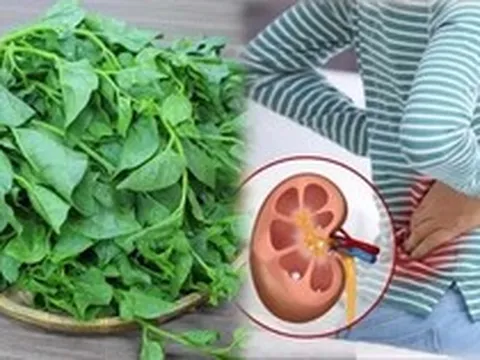 Loại rau có vị nhớt khó ăn nhưng lại được coi là "nữ hoàng" giải nhiệt mùa hè: Có 5 nhóm người tốt nhất đừng ăn nhiều